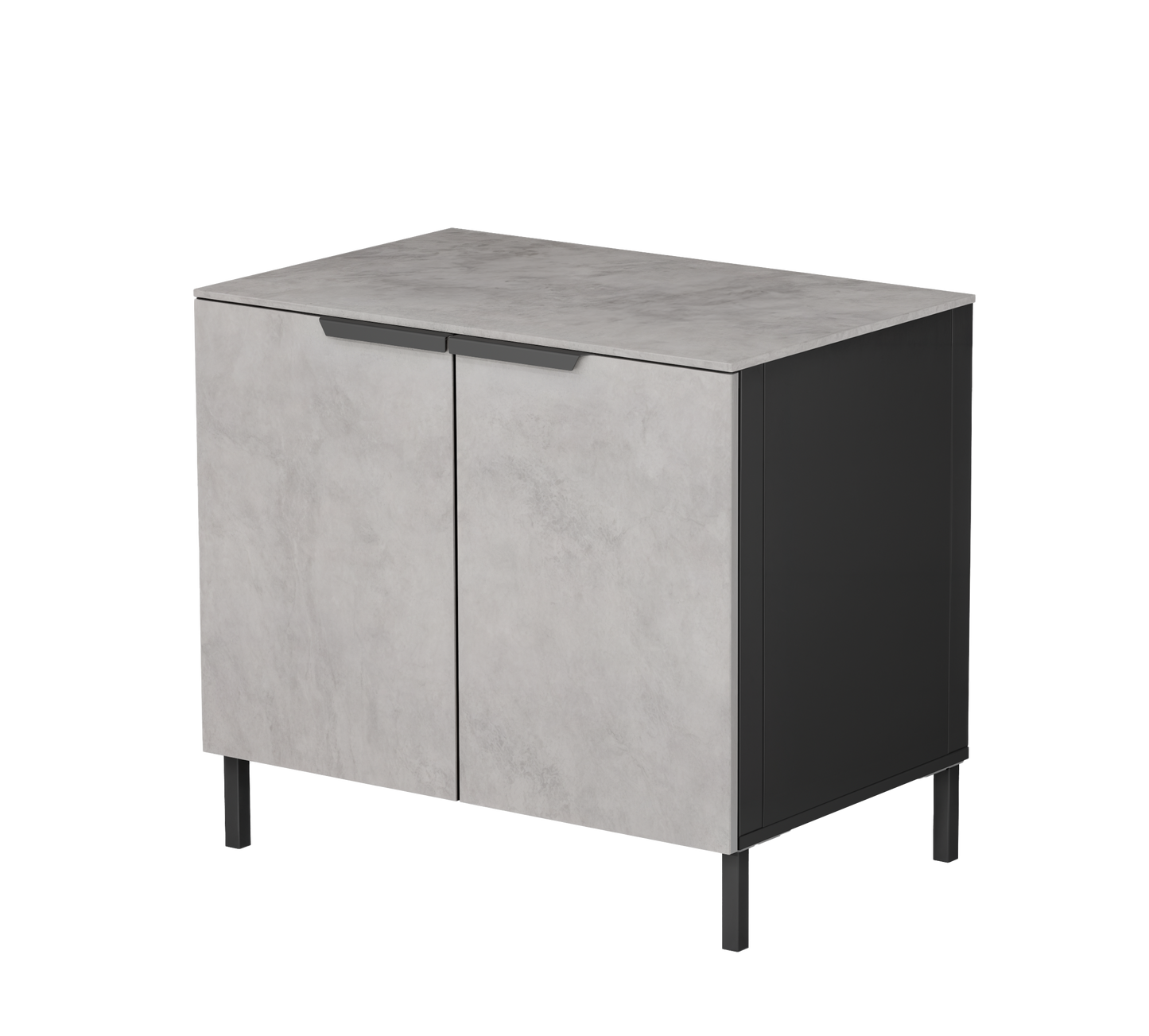CABINET 100